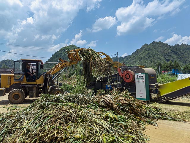 秸稈青貯粉碎機幫助秸稈變成牛羊營養餐